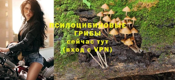 СК Алексеевка