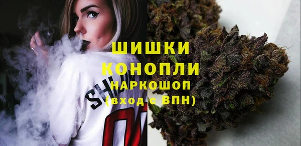 ПСИЛОЦИБИНОВЫЕ ГРИБЫ Алзамай