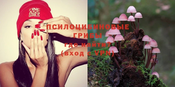 ПСИЛОЦИБИНОВЫЕ ГРИБЫ Алзамай