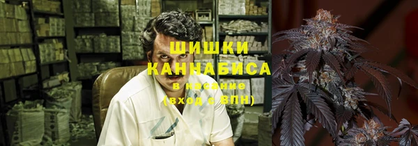 ПСИЛОЦИБИНОВЫЕ ГРИБЫ Алзамай